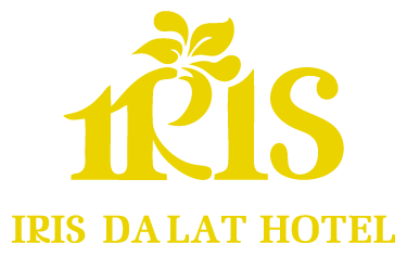 Logo IRIS-01